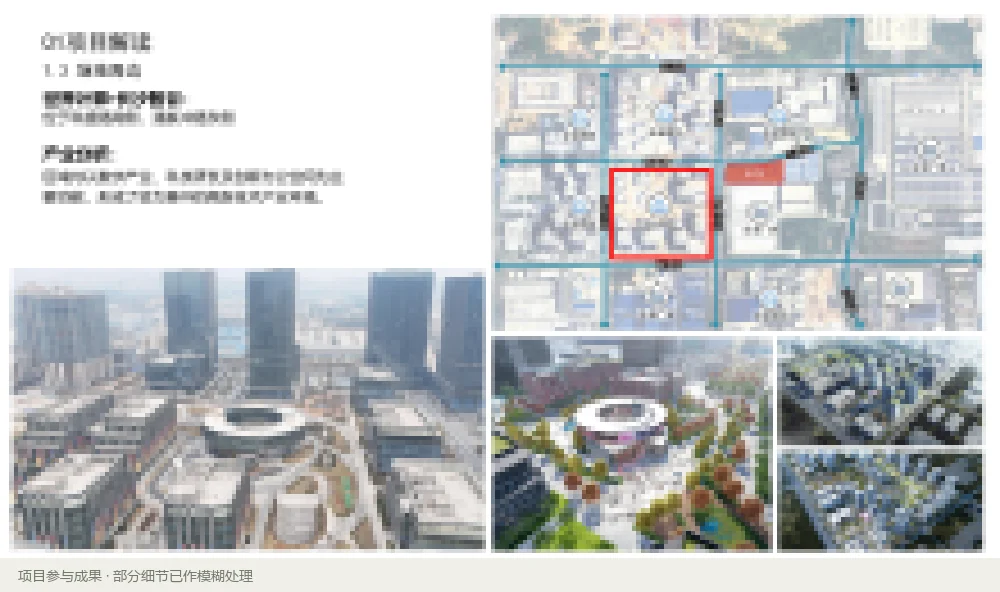 项目解读，轻度马赛克展示